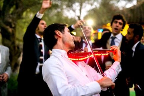 violin electrico fiesta